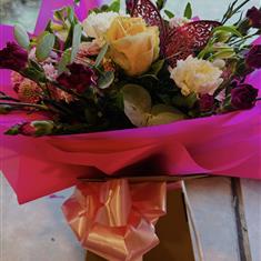 Burgundy and Pink Wonder